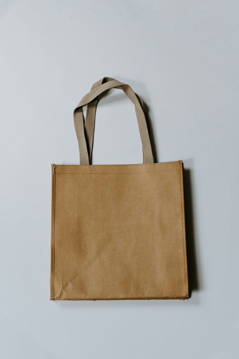 Botanical Embroidered Canvas Tote Bag